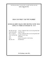 BÁO CÁO THỰC TẬP TỐT NGHIỆP:  ĐÁNH GIÁ HIÊN TRẠNG MÔI TRƯỜNG NƯỚC THẢI CÔNG TY TNHH GUYOMARC’H  VCN