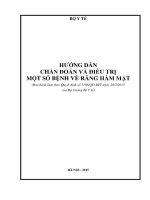 HƯỚNG DẪN CHẨN ĐOÁN VÀ ĐIỀU TRỊ MỘT SỐ BỆNH VỀ RĂNG HÀM MẶT, NĂM 2015
