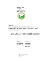 Luận văn thạc sĩ đánh giá thực trạng canh tác nương rẫy và định hướng sử dụng đất nương rẫy tại xã cổ linh   pác nặm   bắc kạn 