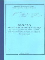 Tổng Kết Toàn Diện Kết Quả Thực Hiện Dự Án Xây Dựng Mô Hình Xưởng Chế Biến Chè Đắng “Khổ Đinh Trà” Đặc Sản Cao Bằng