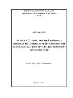 NGHIÊN cứu ĐỘNG học QUÁ TRÌNH OXI hóa PHÂN hủy RHODAMINE b và PHENOL bởi QUANG xúc tác BIẾN TÍNH từ tio2 TRÊN CHẤT MANG TRO TRẤU 
