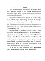 Phân lập, tuyển chọn vi sinh vật sinh hương trong công nghệ sản xuất nước mắm 