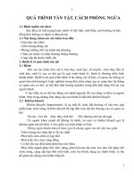 QUÁ TRÌNH tàn tật, CÁCH PHÒNG NGỪA 