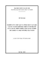 Nghiên cứu chế tạo và tính chất vật liệu cao su nano compozit trên cơ sở blend của cao su thiên nhiên với cao su nitril butadien và một số phụ gia nano (tóm tắt)