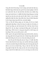 Xây dựng hệ thống quản lý mối quan hệ khách hàng CRM tại công ty cổ phần thép hàn việt 