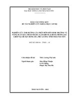 Nghiên Cứu Ảnh Hưởng Của Phân Bón Đến Sinh Trưởng Và Năng Suất Quả Trám Trắng (Canarium Album) Trồng Sau Ghép Tịa Huyện Đồng Hỷ, Tỉnh Thái Nguyên