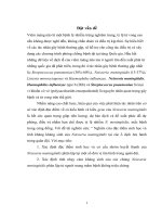 Nghiên cứu đặc điểm sinh học và tính kháng kháng sinh của neisseria meningitidis 