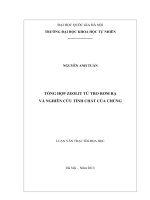 TỔNG HỢP ZEOLIT TỪ TRO RƠM RẠ  VÀ NGHIÊN CỨU TÍNH CHẤT CỦA CHÚNG