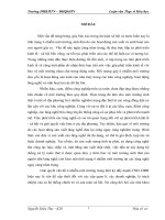 Nghiên cứu biến tính tio2 bằng cacbon và sắt  làm chất xúc tác quang hóa trong vùng ánh sáng trông thấy 