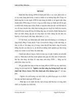 Nghiên cứu khả năng hạ đường huyết của cây chuối hột musra barjoo sieb lên chuột gây tiểu đường type 2 