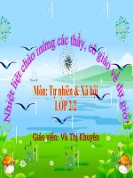 Giáo án tự nhiên xã hội lớp 2 Loài vật sống ở đâu