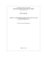 Nghiên cứu thành phần hóa học vỏ quả măng cụt xanh 