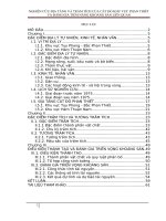 NGHIÊN cứu địa TẦNG và TRẦM TÍCH của cát đỏ KHU vực PHAN THIẾT và ĐÁNH GIÁ TIỀM NĂNG KHOÁNG sản LIÊN QUAN 