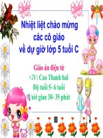 Chủ đề: Trò chuyện về ngày hội của cô giáo và ước mơ của bé