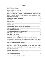 Một số biện pháp hoàn thiện công tác quản trị và nâng cao hiệu quả sử dụng vốn lưu động tại chi nhánh công ty TNHH EPE PACKAGING (việt nam) tại hải phòng 