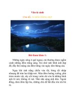 Tổng hợp những bài văn tả đêm trăng hay