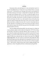 Thiết kế thang chuẩn ADN 