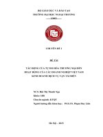 TÁC ĐỘNG của tự DO hóa THƯƠNG mại đến HOẠT ĐỘNG của các DOANH NGHIỆP VIỆT NAM KINH DOANH DỊCH vụ vận tải BIỂN