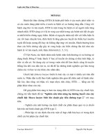 Nghiên cứu khả năng hạ đường huyết của cây chuối hột musra barjoo sieb lên chuột gây tiểu đường type 2 