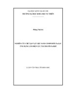 NGHIÊN cứu CHẾ tạo vật LIỆU NANO COMPOSITE fe2o3c ỨNG DỤNG làm điện cực âm CHO PIN FeKHÍ 