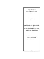 Nghiên cứu chế tạo và tính chất vật liệu cao su nano compozit trên cơ sở blend của cao su thiên nhiên với cao su nitril butadien và một số phụ gia nano (tóm tắt)