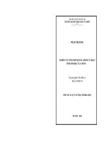 Nghiên cứu tổng hợp một số aurone và hoạt tính sinh học của chúng (tóm tắt)