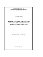 Nghiên cứu khả năng xử lý nước thải nhiễm thuốc nổ nhóm nitrophenol bằng quá trình quang fenton 