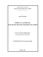 Nghiên cứu tạo phôi lợn bằng phương pháp thụ tinh trong ống nghiệm 
