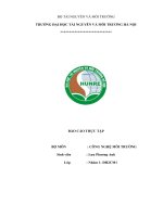 BÁO CÁO THỰC TẬP công nghệ môi trường: Xử lý nước thải