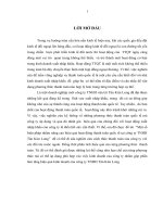 Một số biện pháp nhằm nâng cao hiệu quả hoạt động thanh toán quốc tế tại công ty TNHH tân kim long 