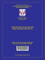 Phân tích kết cấu có vết nứt bằng phương pháp nút ảo 