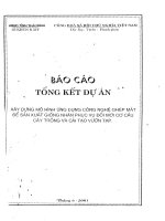 Xây Dựng Mô Hình Ứng Dụng Công Nghệ Ghép Mắt Để Sản Xuất Giống Nhãn Phục Vụ Đổi Mới Cơ Cấu Cây Trồng Và Cải Tạo Vường Tạp