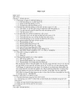 Nghiên cứu ổn định hóa chất thải phóng xạ bằng phương pháp gốm hóa tạo vật liệu dạng synroc 