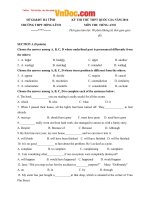 De thi thu tieng anh THPT hong linh ha tinh