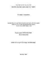 ẢNH HƯỞNG của sự TÍCH tụ KIM LOẠI NẶNG lên sức KHỎE SINH lý của cá mè (hypophthalmichthy molitrix) ở lưu vực SÔNG NHUỆ   đáy (tóm tắt)