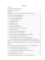 Một số giải pháp nâng cao hiệu quả hoạt động kinh doanh nhập khẩu tại công ty TNHH thương mại và dịch vụ nội thất  hải phong 