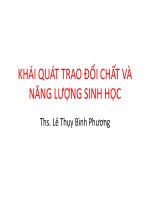 Bài giảng Khái quát trao đổi chất và năng lượng sinh học