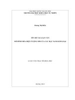 Mô hình hóa hiện tượng SPR của các hạt nano kim loại (2) 