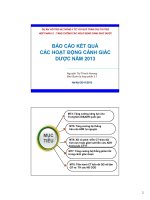 BÁO CÁO KẾT QUẢ CÁC HOẠT ĐỘNG CẢNH GIÁC DƯỢC NĂM 2013