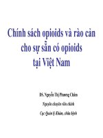 Chính sách opioid và rào cản cho sự sẵn có opioids tại việt nam