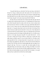 Một số biện pháp tiết kiệm chi phí và hạ giá thành vận tải của công ty cổ phần phát triển công nghiệp tàu thủy nam sơn 
