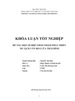 MỘT số BIỆN PHÁP NHẰM PHÁT TRIỂN DU LỊCH văn HOÁ của THÁI BÌNH
