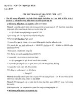 THAO LUAN NN PL LAN 2