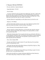 CHÍNH SÁCH KINH TẾ ĐỐI NGOẠI INDONESIA