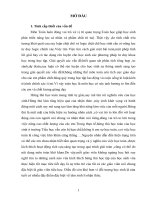 Hứng thú học toán của học sinh lớp 4b trường tiểu học ngũ phúc   huyện kiến thụy   hải phòng ”