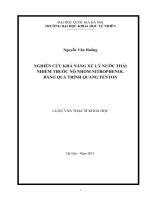 Nghiên cứu khả năng xử lý nước thải nhiễm thuốc nổ nhóm nitrophenol bằng quá trình quang fenton 