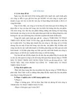 KẾ TOÁN TIÊU THỤ sản PHẨM tại CÔNG TY  TNHH đầu tư PHÁT TRIỂN THÁI TUẤN 