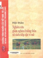 Nghiên Cứu Giảm Nghèo Ở Nông Thôn Từ Cách Tiếp Cận Vi Mô