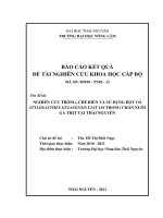 Nghiên Cứu Trồng, Chế Biến Và Sử Dụng Bột Cỏ Stylosanthes Guianensis Ciat 184 Trong Chăn Nuôi  Gà Thịt Tại Thái Nguyên