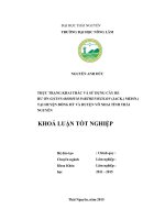 Thực trạng khai thác và sử dụng cây re hương (cinnamomum parthenoxylon (jack) meissn, 1864) tại huyện đồng hỷ và huyện võ nhai tỉnh thái nguyên 